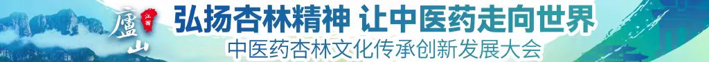 大鸡操嫩逼逼中医药杏林文化传承创新发展大会